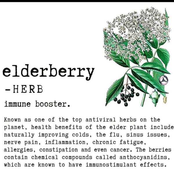 Elderberry Organic Syrup, Vegan - Cassie's Natural Living