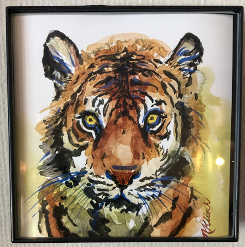 Tiger fine art print with frame 4x4 May Klisch